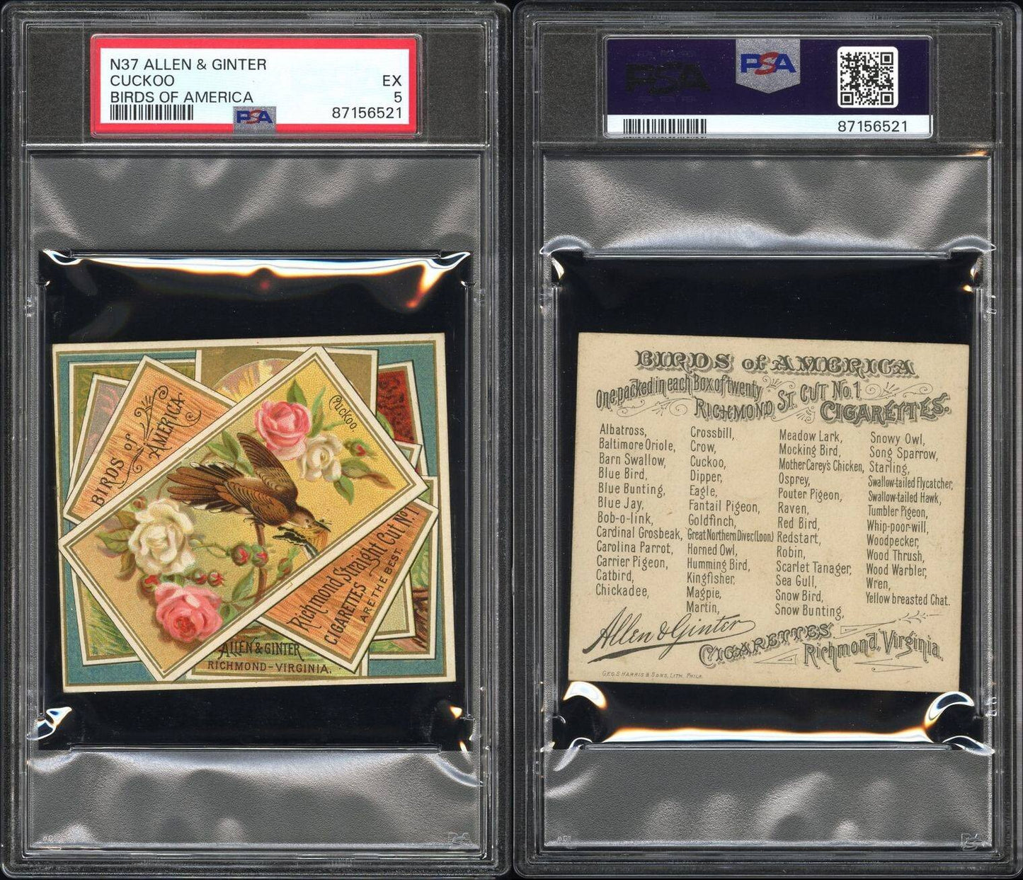 1890 N37 Allen & Ginter Birds of America (PSA 5 EX) Cuckoo2