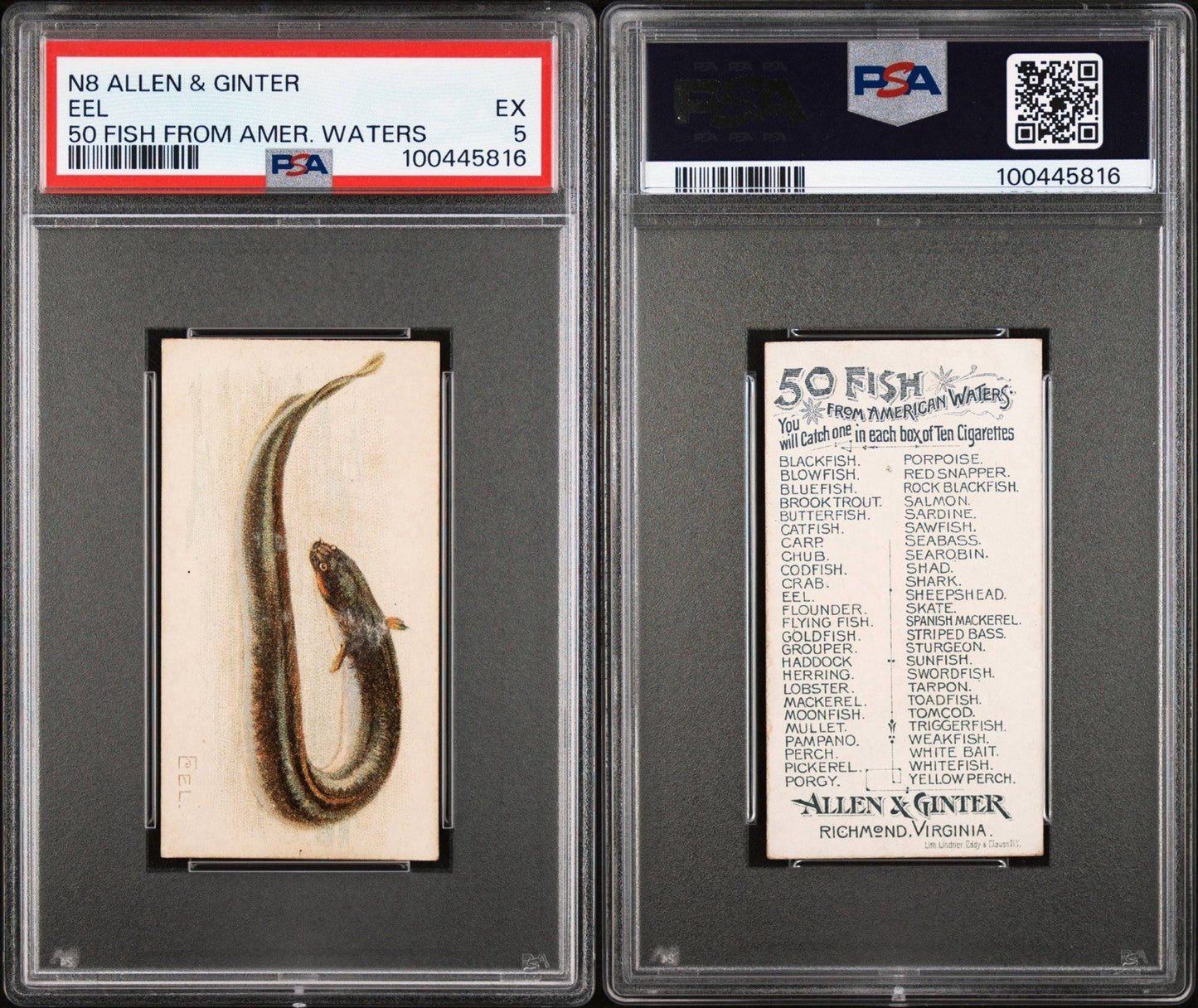 1889 N8 Allen & Ginter 50 FISH from American Waters (PSA 5 EX) EEL2