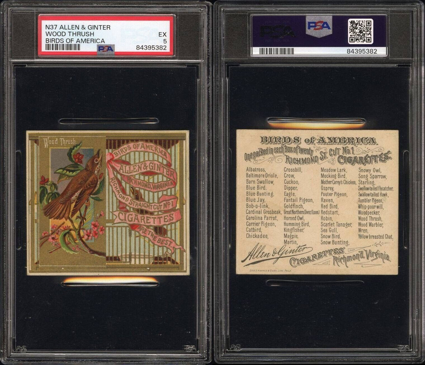 1890 N37 Allen & Ginter Birds of America (PSA 5 EX) Wood Thrush