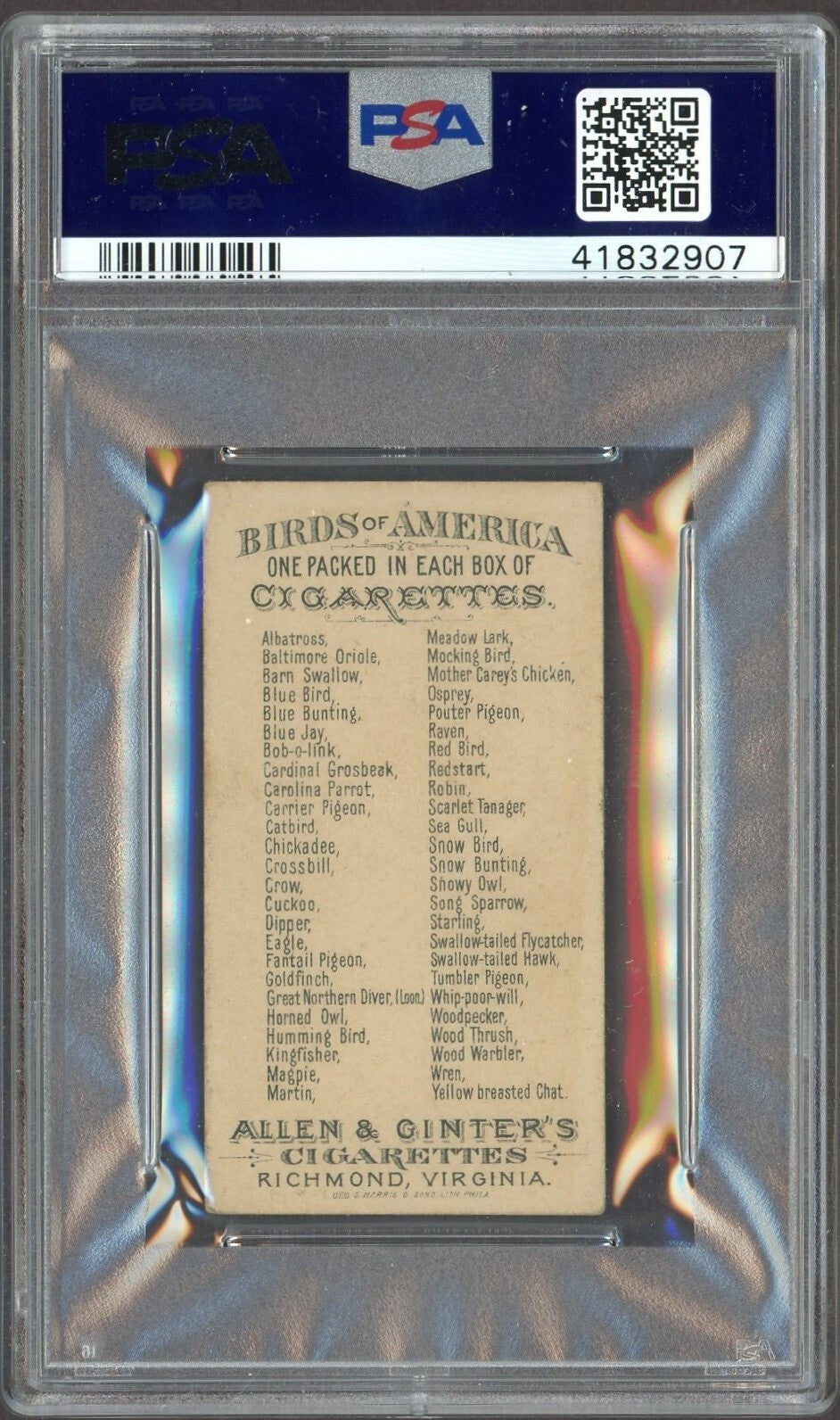 1888 N4 Allen & Ginter Birds of America (PSA 4.5 VG/EX) Blue Jay1