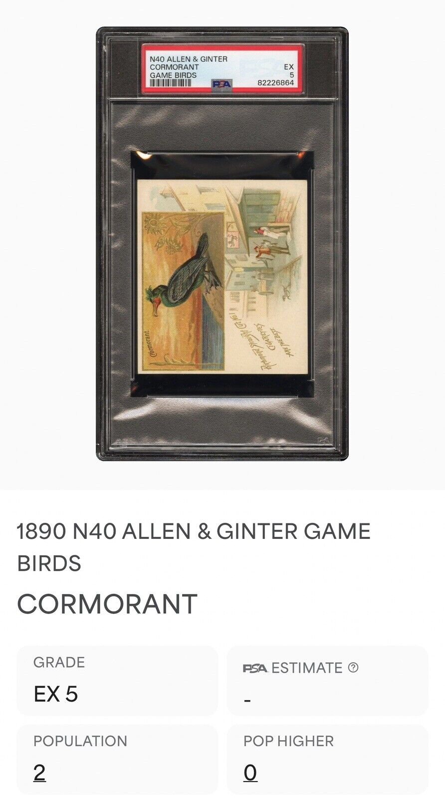 1890 N40 ALLEN & GINTER GAME BIRDS (PSA 5 EX) Cormorant