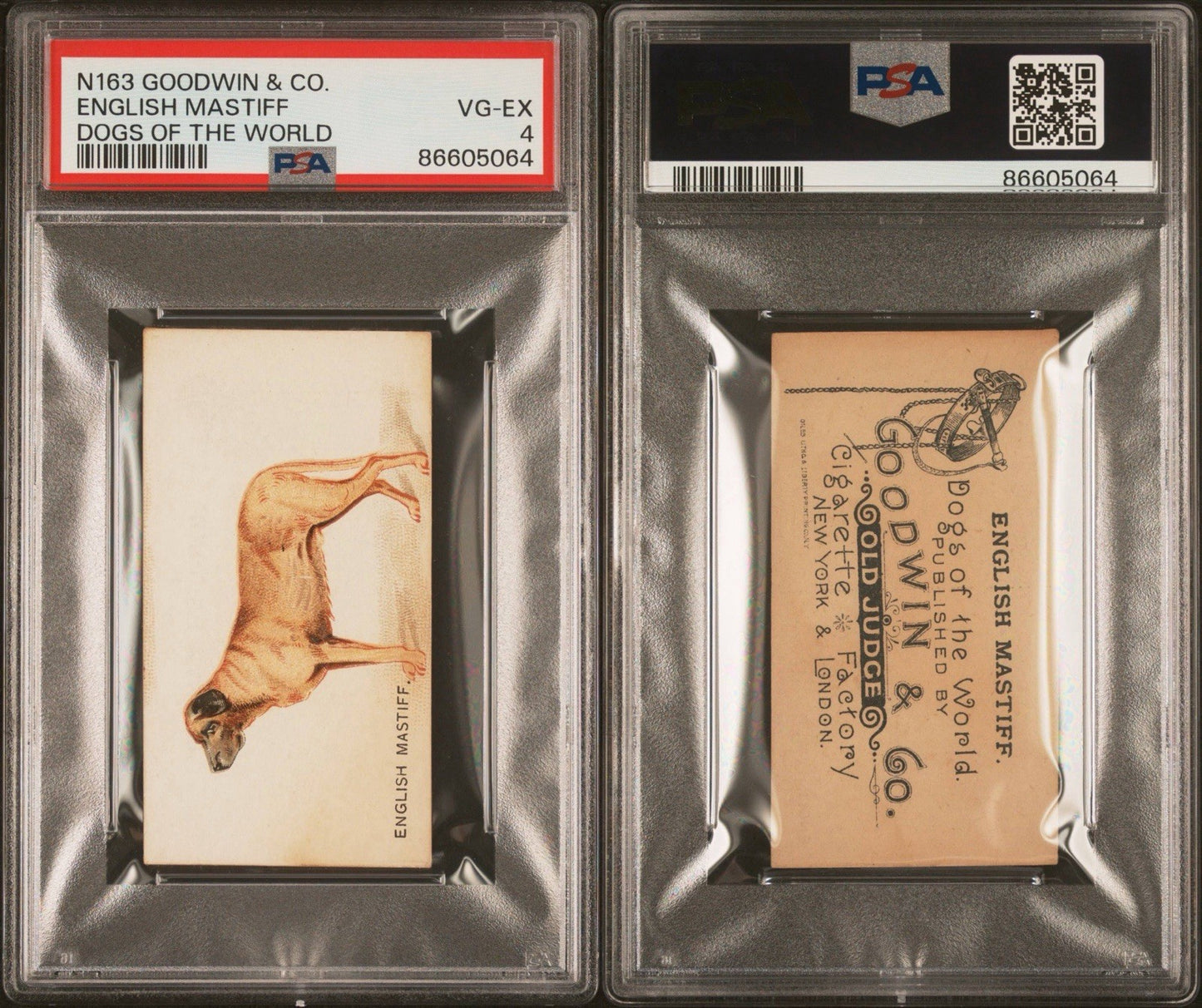 1890 N163 Goodwin & Co OLD JUDGE Dogs of the World (PSA 4 VG/EX) English Mastiff2