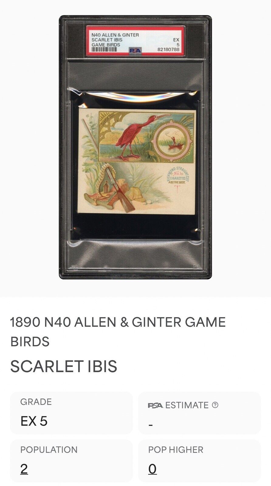 1890 N40 ALLEN & GINTER GAME BIRDS (PSA 5 EX) Scarlet Ibis