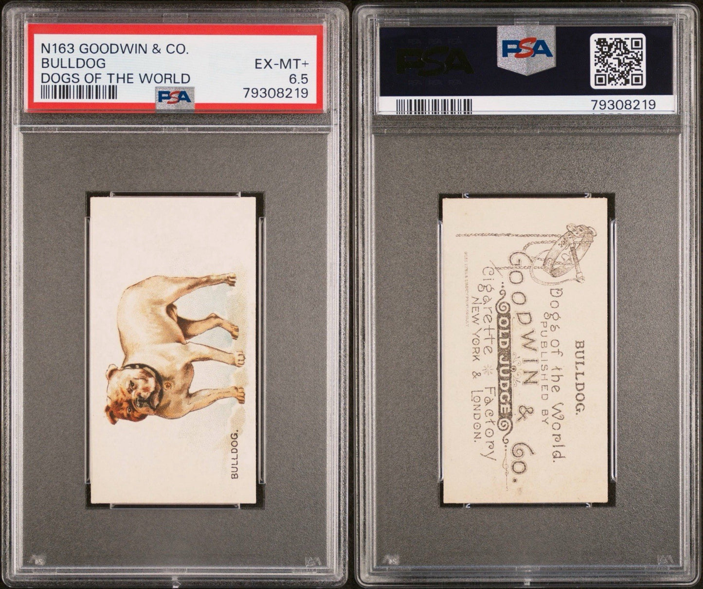 1890 N163 Goodwin & Co. Dogs of the World (PSA 6.5 EX/MT+) BULLDOG2