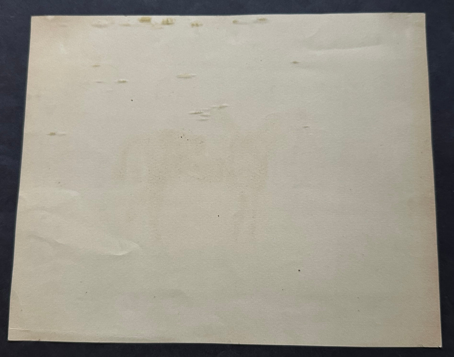 Rare PREMIUM: 1880s N239-1 Kinney Racehorses (Proctor Knott)