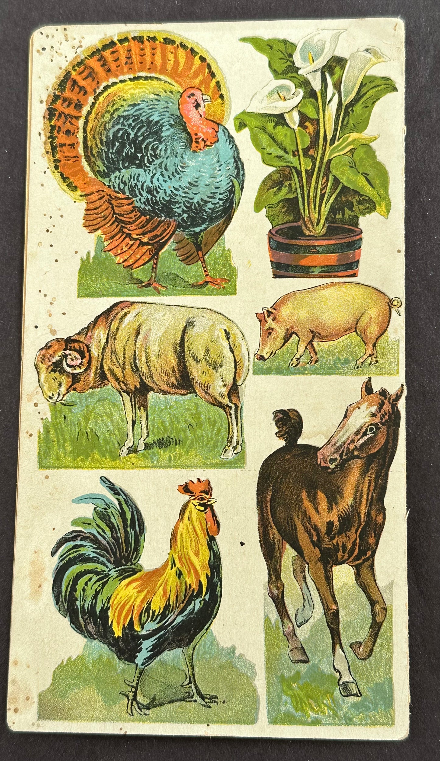 Blackwell's Durham Tobacco Folding Trade Card w/ Animals