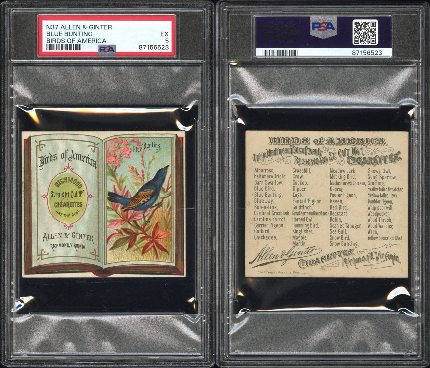 1890 N37 ALLEN & GINTER Birds of America (PSA 5 EX) Blue Bunting2