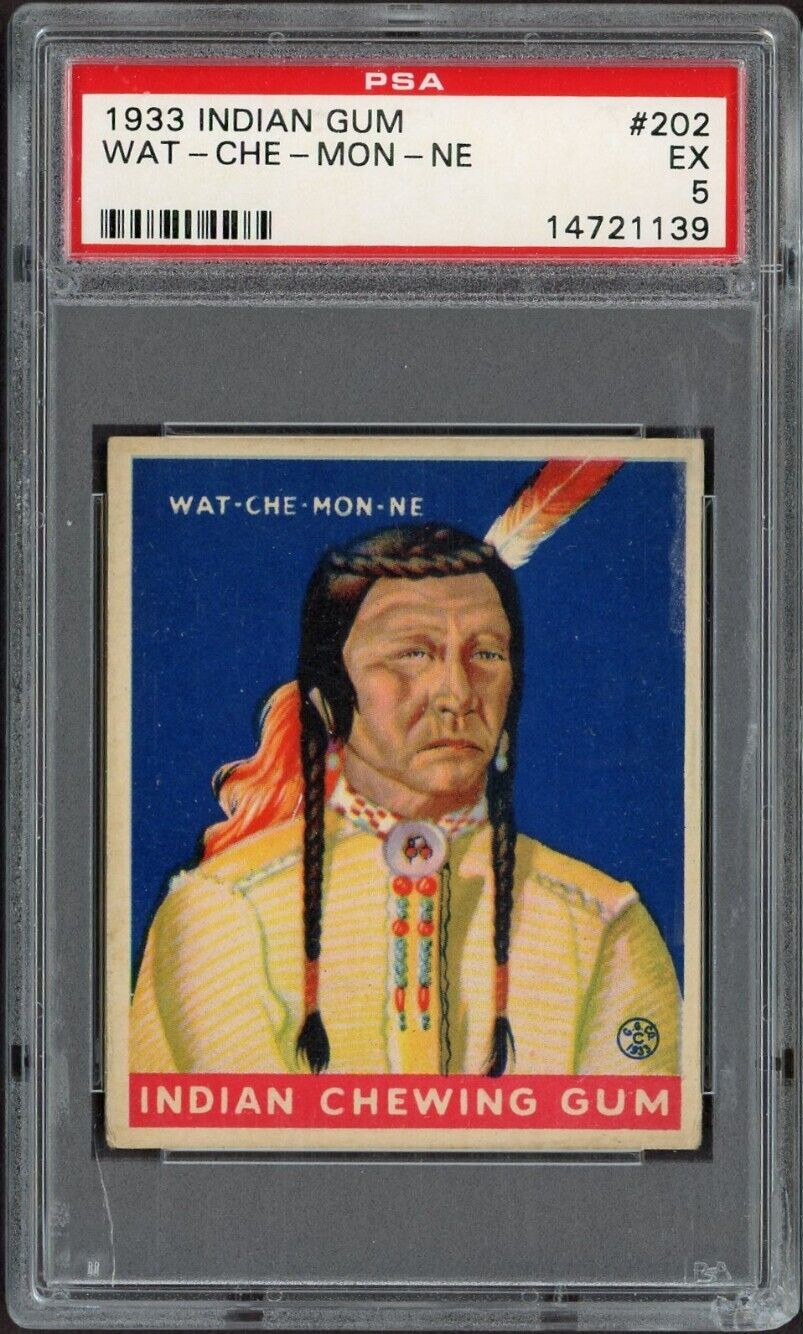 1933 Goudey Indian Gum (Series of 48) #202 Wat-Che-Mon-Ne (PSA 5 EX)