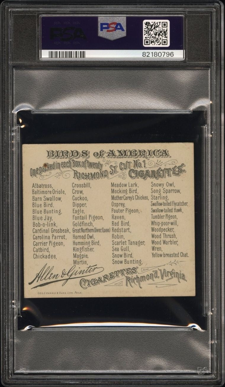 1890 N37 Allen & Ginter Birds Of America ROBIN (PSA 4 VG/EX) Large1