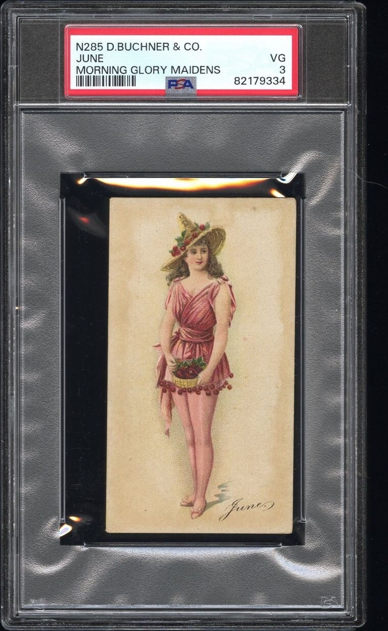1888 N285 D. Buchner & Co. Morning Glory Maidens "JUNE" (PSA 3 VG) RARE0