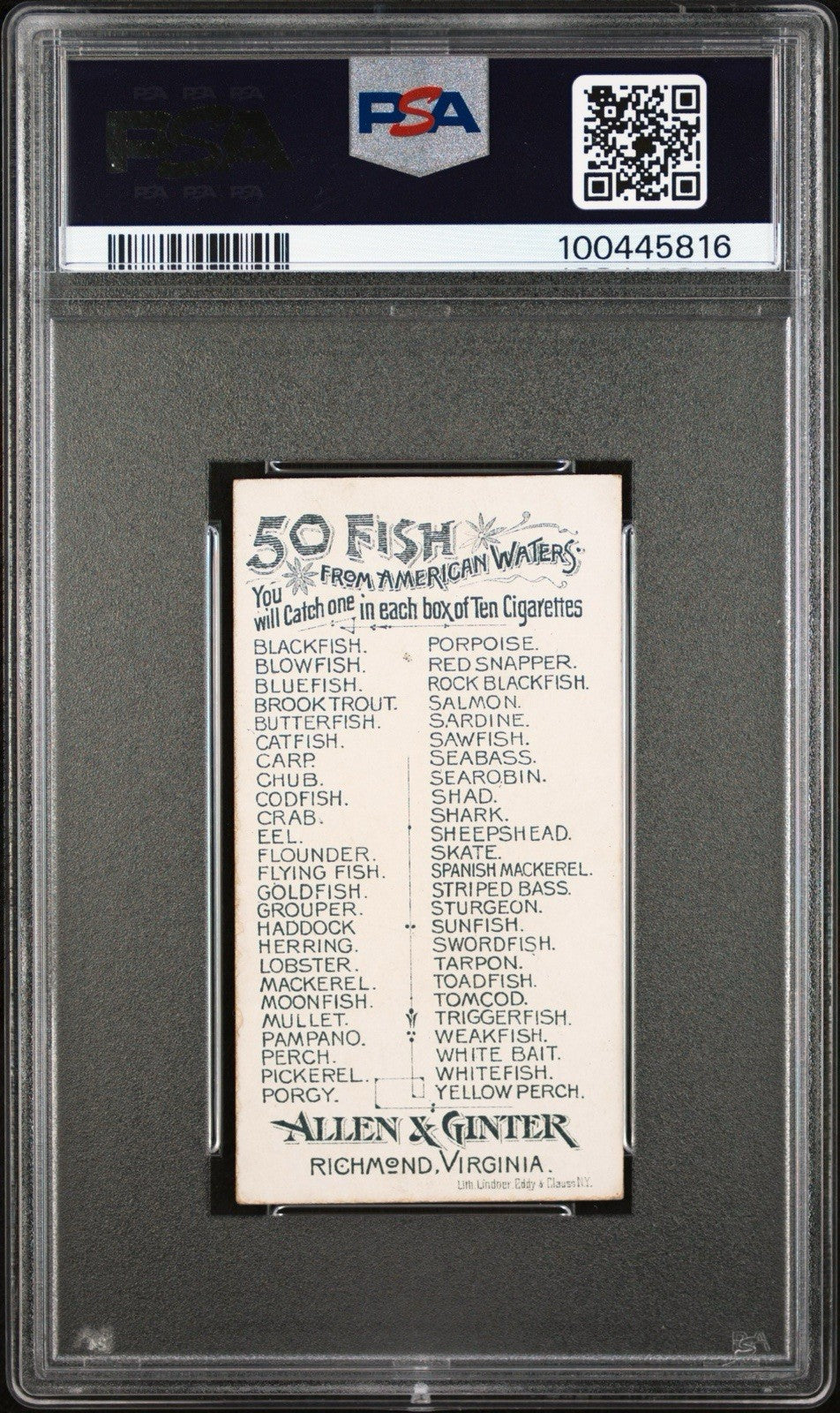 1889 N8 Allen & Ginter 50 FISH from American Waters (PSA 5 EX) EEL1