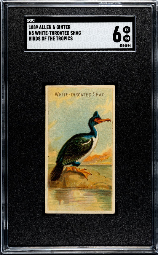 1889 N5 Allen & Ginter Birds Of The Tropics (SGC 6 EX/MT) White Throated Shag0