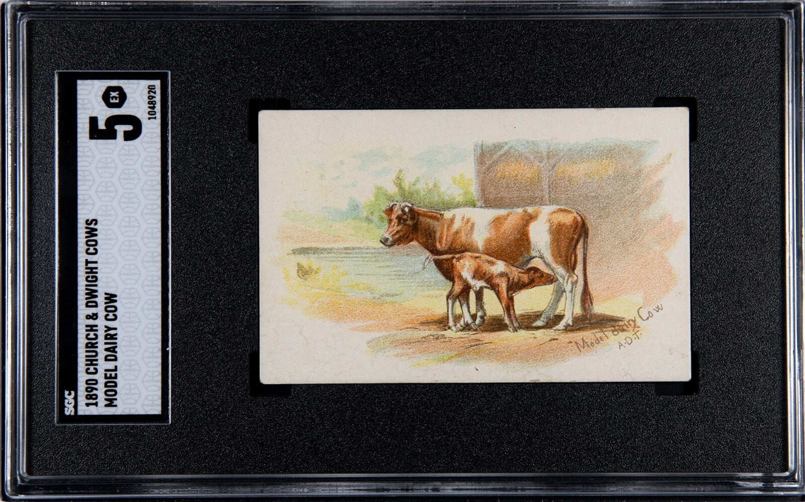 1895 John Dwight and Co. Cow Brand Soda (SGC 5 EX) MODEL DAIRY COW0