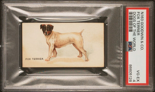 1890 N163 Goodwin & Co OLD JUDGE Dogs of the World (PSA 4 VG/EX) Fox Terrier0