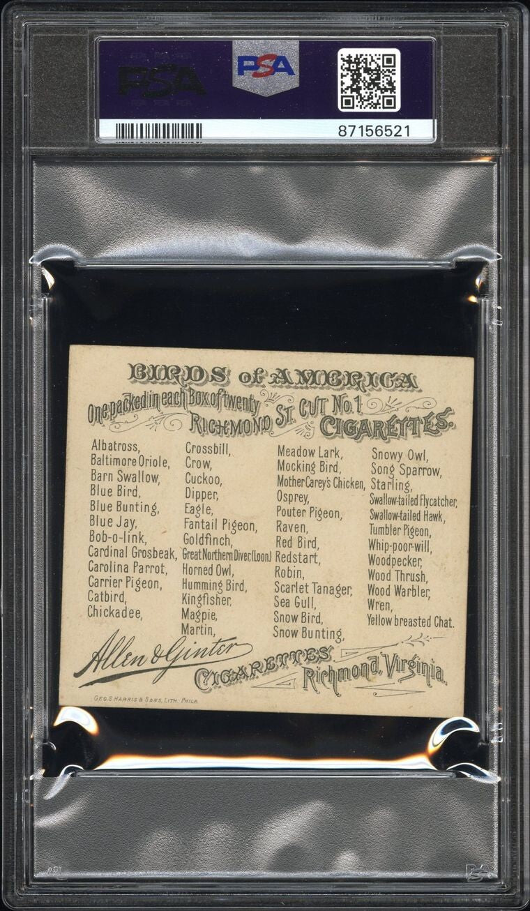 1890 N37 Allen & Ginter Birds of America (PSA 5 EX) Cuckoo1