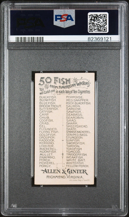 1889 N8 Allen & Ginter 50 FISH from American Waters (PSA 6 EX/MT) Moonfish1