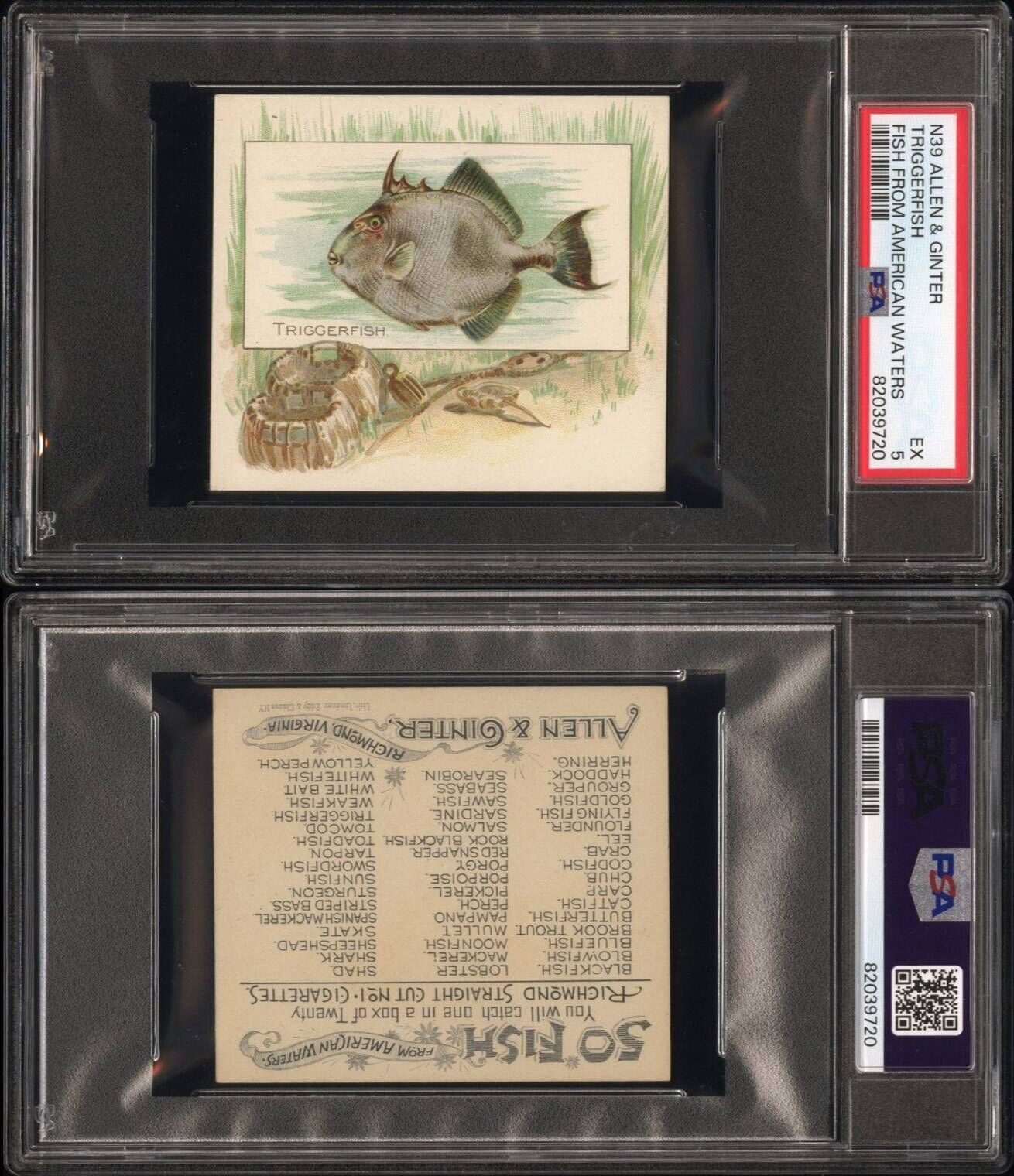 1889 N39 Allen & Ginter Fish From American Waters PSA 5 EX Triggerfish 1 higher