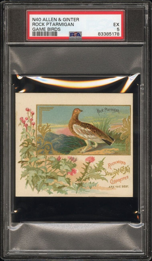 1890 N40 ALLEN & GINTER GAME BIRDS (PSA 5 EX) Rock Ptarmigan