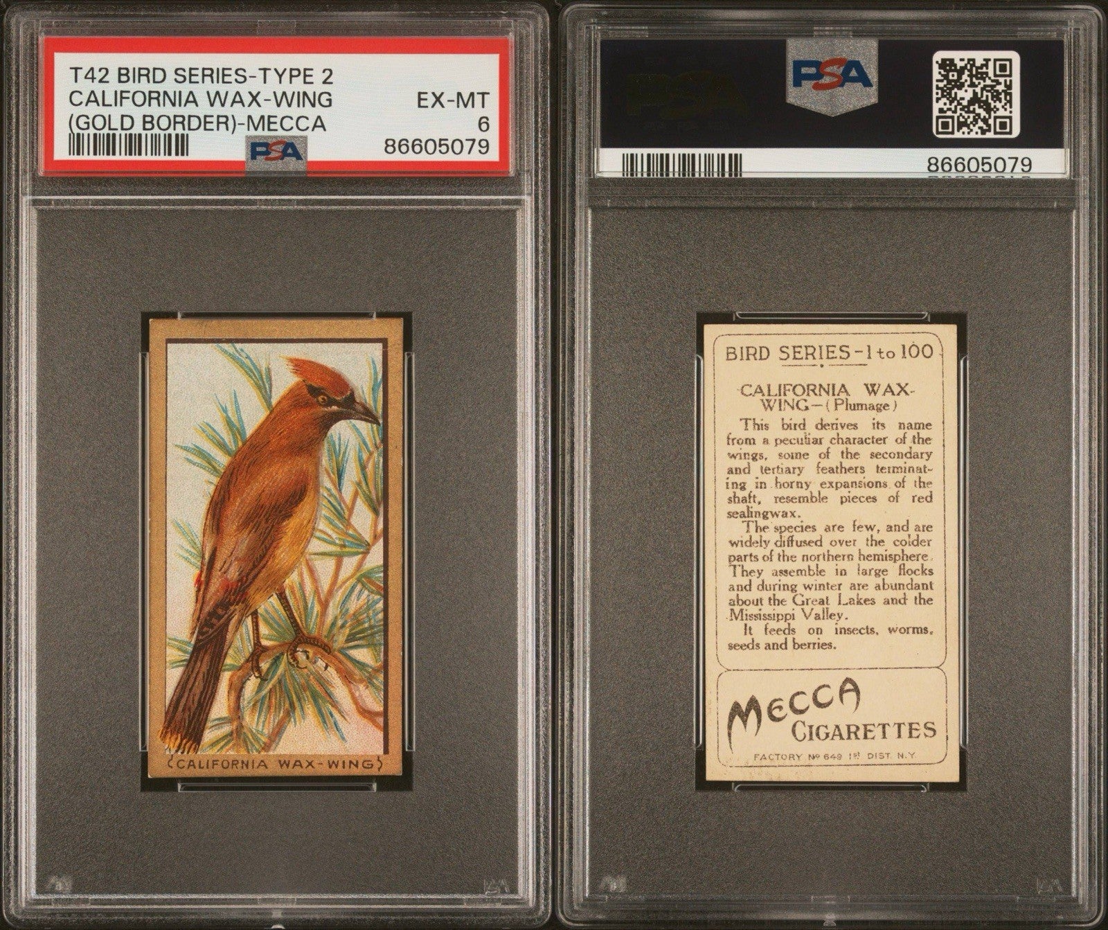 1910 T42 Bird Series (Gold Border) California Wax Wing (PSA 6 EX/MT) Mecca2