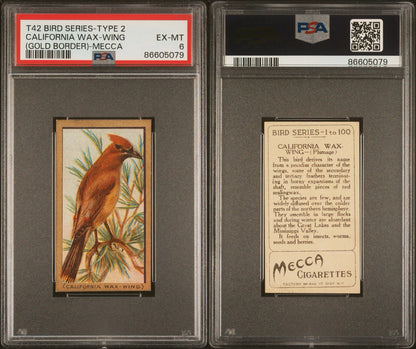 1910 T42 Bird Series (Gold Border) California Wax Wing (PSA 6 EX/MT) Mecca2