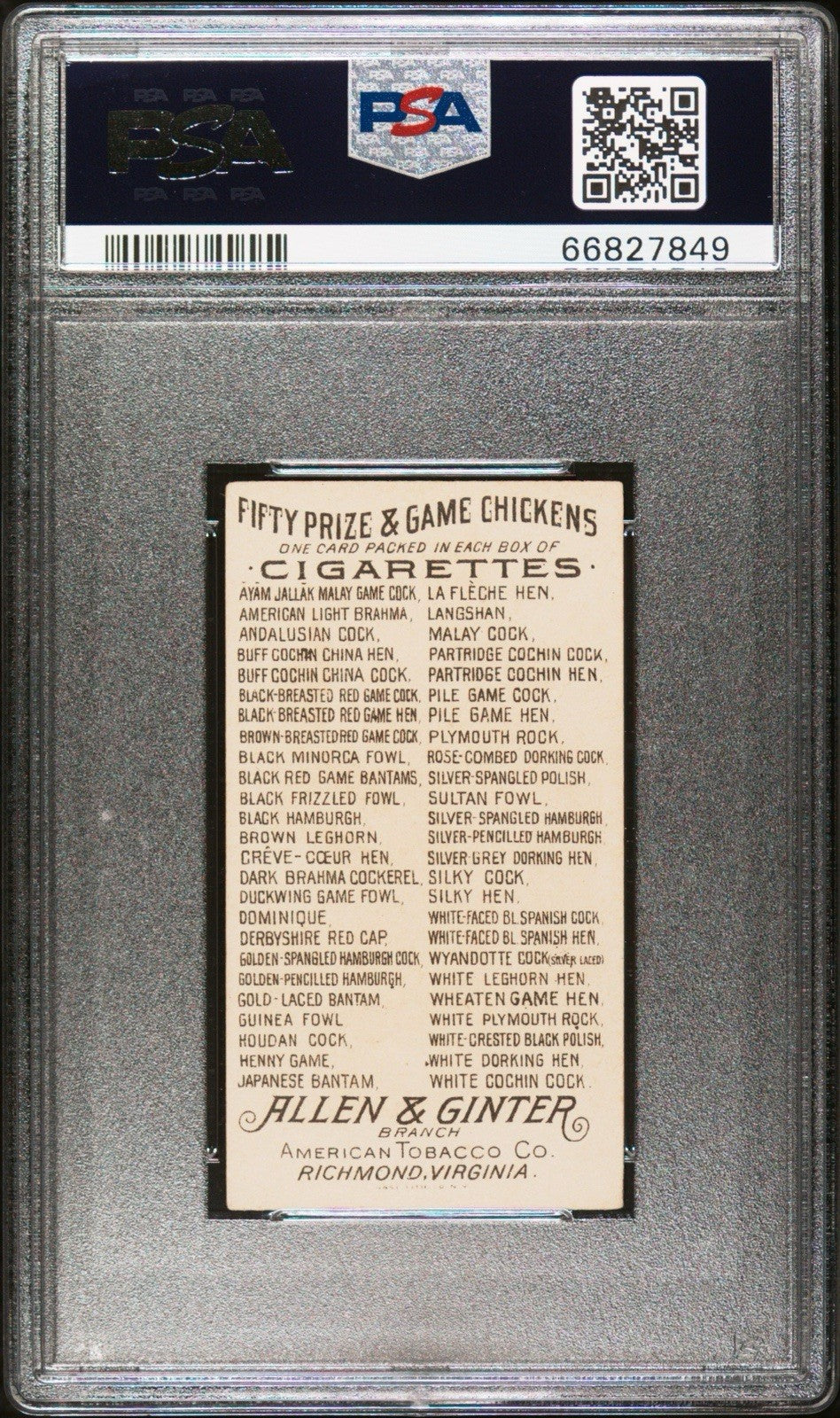 1891 N20 Allen & Ginter Prize & Game Chickens Brown Breasted Cock (PSA 5 EX)1