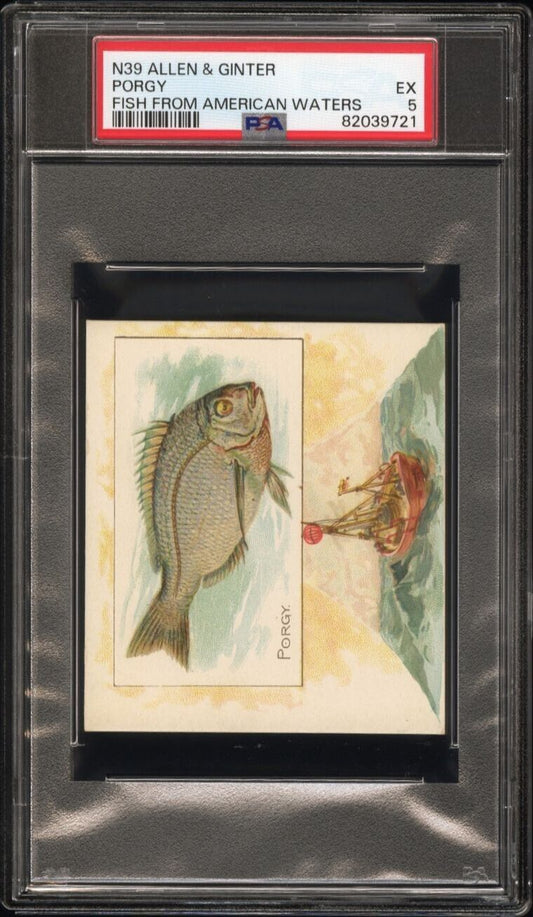 1889 N39 Allen & Ginter Fish From American Waters (PSA 5 EX) Porgy