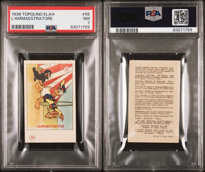 1936 Topolino Elah Disney Candy Cards #55 L'Ammaestratore (PSA 7 NM) Donald Duck2