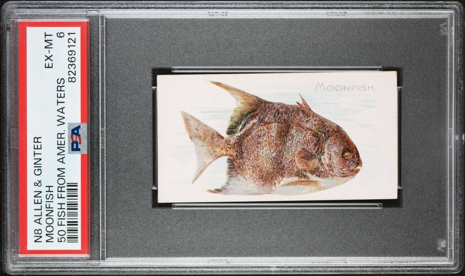 1889 N8 Allen & Ginter 50 FISH from American Waters (PSA 6 EX/MT) Moonfish0