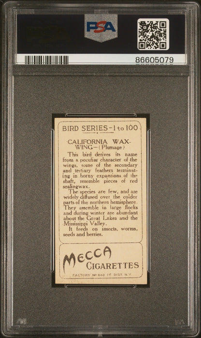1910 T42 Bird Series (Gold Border) California Wax Wing (PSA 6 EX/MT) Mecca1