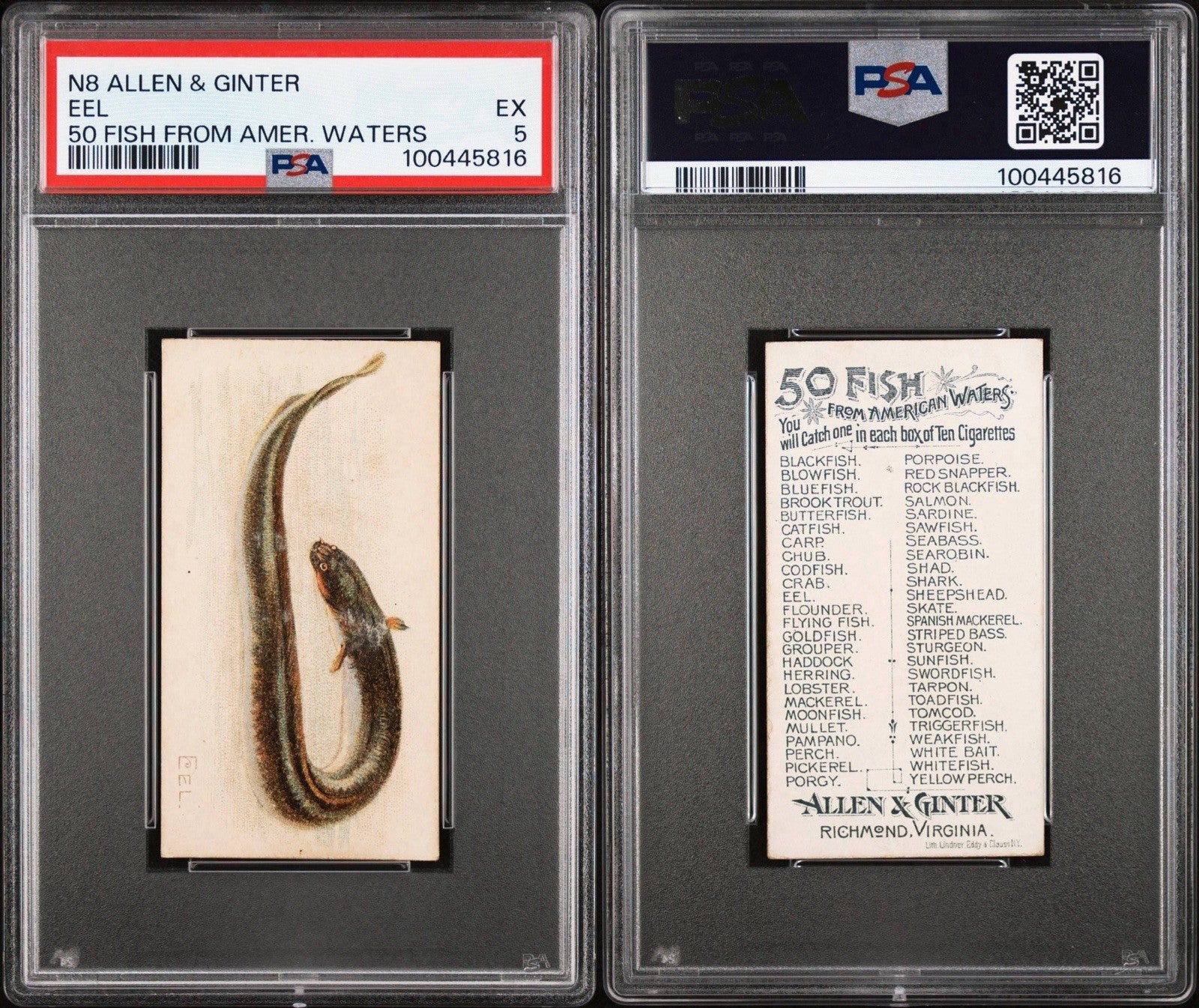 1889 N8 Allen & Ginter 50 FISH from American Waters (PSA 5 EX) EEL2