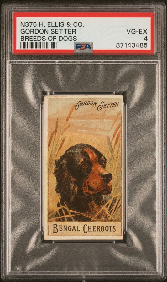 1890 N375 Ellis Co. Breeds of Dogs GORDON SETTER (PSA 4 VG/EX) Bengal Cheroots