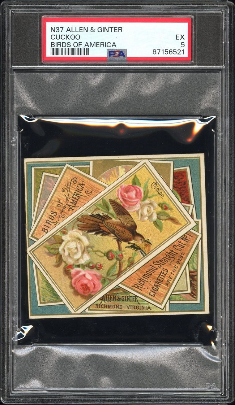 1890 N37 Allen & Ginter Birds of America (PSA 5 EX) Cuckoo0