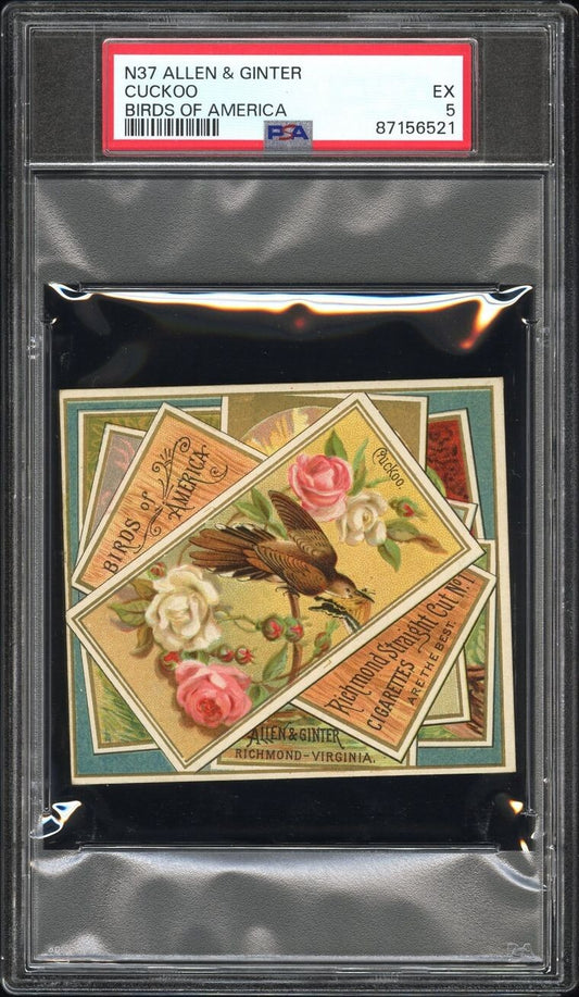 1890 N37 Allen & Ginter Birds of America (PSA 5 EX) Cuckoo0