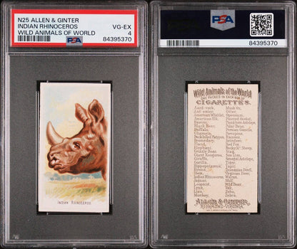 1888 N25 Allen & Ginter Indian Rhinoceros PSA 4 VG/EX Wild Animals of the World