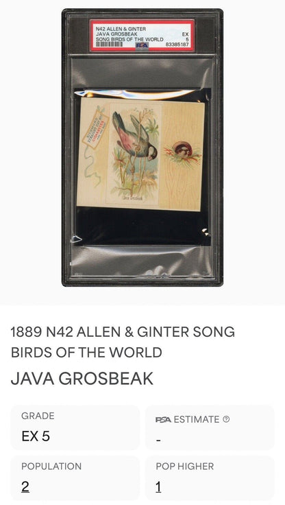 1889 N42 Allen Ginter Song Birds Richmond Straight Cut (PSA 5 EX) Java Grosbeak