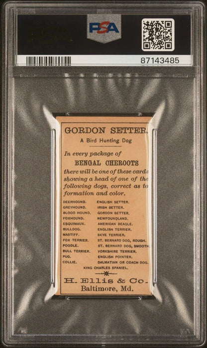 1890 N375 Ellis Co. Breeds of Dogs GORDON SETTER (PSA 4 VG/EX) Bengal Cheroots