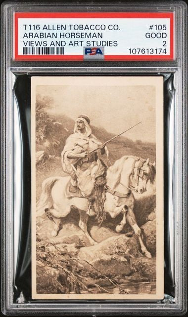 1903 T116 Allen Tobacco Telonette Art Studies #105 (PSA 2 GD) Arabian Horseman0