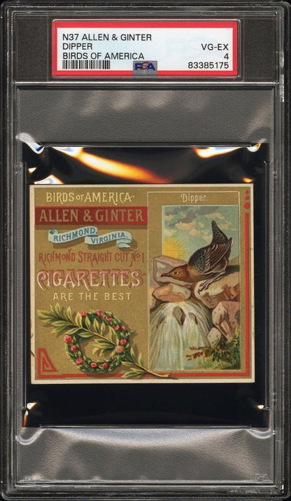 1890 N37 Allen & Ginter Birds Of America DIPPER (PSA 4 VG/EX) Large0
