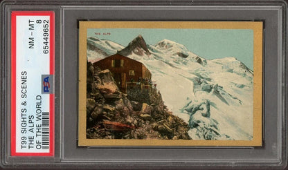 1911 T99 Sights & Scenes of the World THE ALPS (PSA 8 NM/M) Rare0