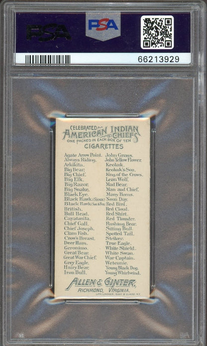 1888 N2 Allen & Ginter American Indian Chiefs (PSA  5 EX) Iron Bull1