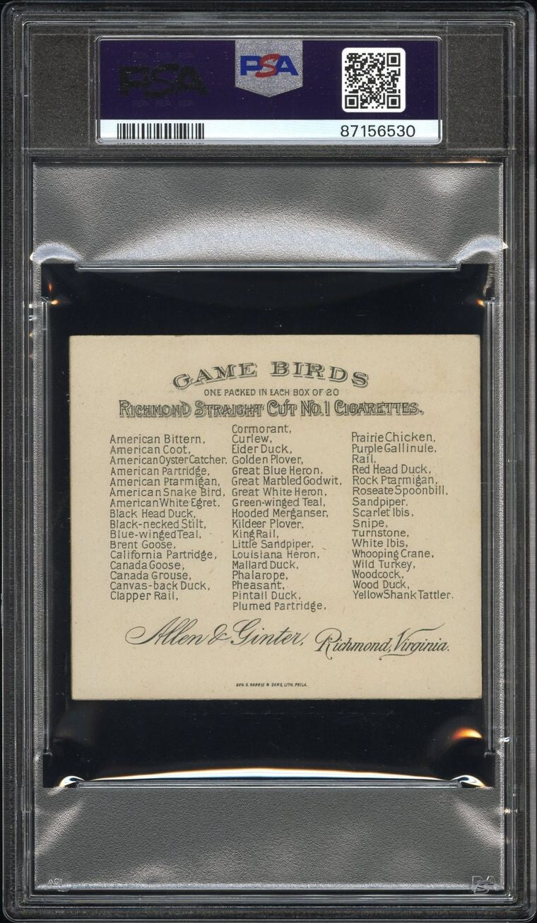 1890 N40 ALLEN & GINTER GAME BIRDS (PSA 5 EX) Louisiana Heron1
