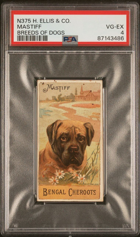 1890 N375 H. Ellis & Co. Breeds of Dogs MASTIFF (PSA 4 VG/EX) Bengal Cheroots