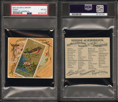 1890 N37 Allen & Ginter Birds Of America ROBIN (PSA 4 VG/EX) Large2