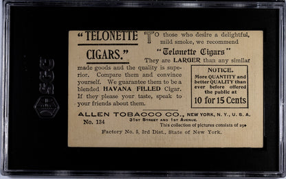 1903 T116 Allen Tobacco Telonette #134 New York, WASHINGTON BRIDGE (SGC 3 VG)1
