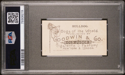 1890 N163 Goodwin & Co. Dogs of the World (PSA 6.5 EX/MT+) BULLDOG1