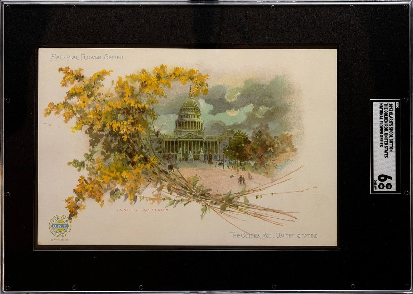 Clark's Thread Trade Card H701 National Flower Series 1893 SGC 6 EXMT US CAPITOL0
