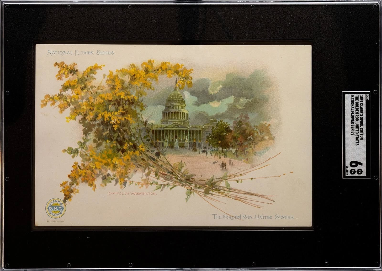 Clark's Thread Trade Card H701 National Flower Series 1893 SGC 6 EXMT US CAPITOL0