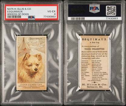 1890 N375 Ellis Breeds of Dogs ESQUIMAUX (PSA 4 VG/EX) Tiger Cigarettes