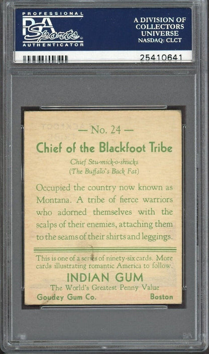 1933 Goudey INDIAN GUM (Series of 96) #24 Blackfoot Tribe (PSA 5 EX)