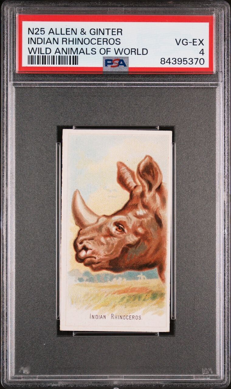 1888 N25 Allen & Ginter Indian Rhinoceros PSA 4 VG/EX Wild Animals of the World